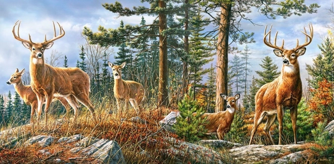 Puzzle Kráľovská jeleňová rodina 4000 dielikov