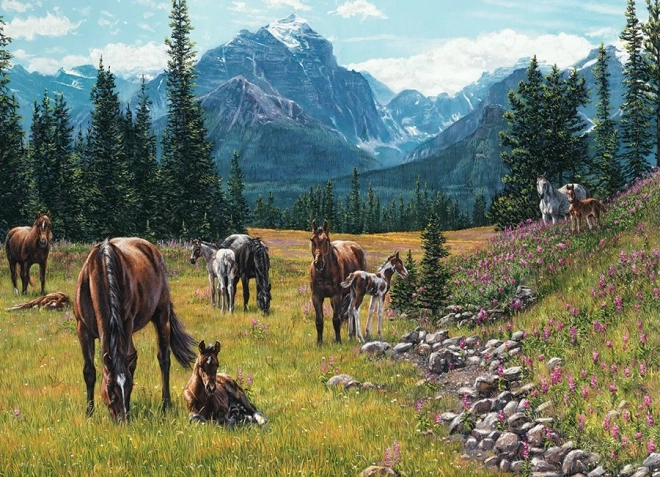 Puzzle Pastvina 1000 dielikov