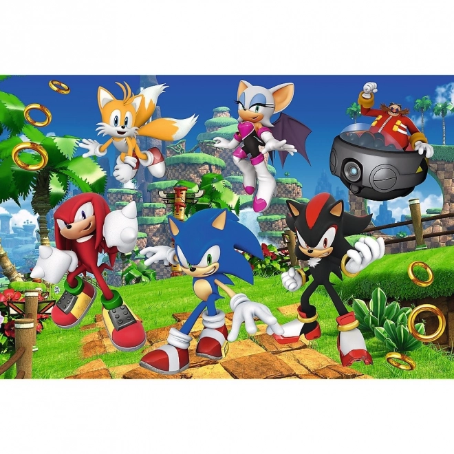 Puzzle Sonic a priatelia