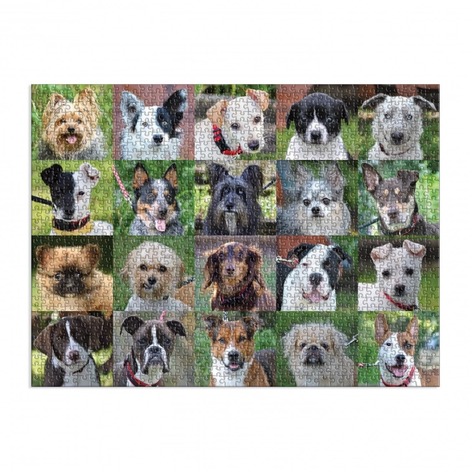 Galison Puzzle Zachránění Psi 1000 Dielikov