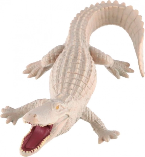 Vzdelávacia hodnota o vzácnom sfarbení