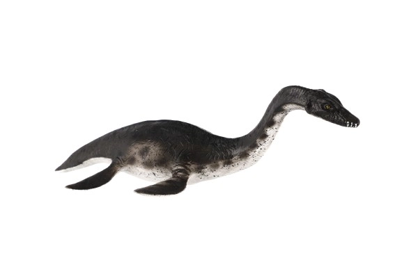 Plesiosaurus Plastový 23cm