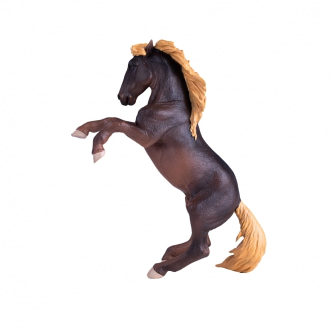 Mojo Divoký kôň Brumby