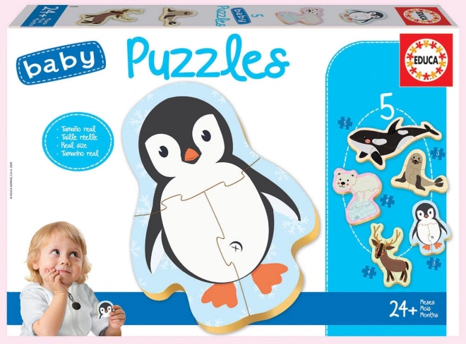 Educa Baby puzzle Polárne zvieratá 5v1