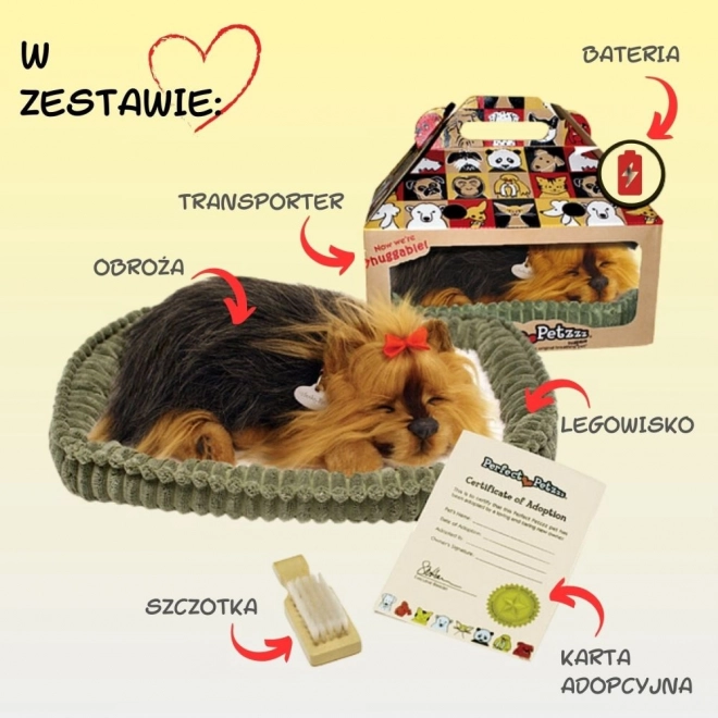 Perfektná maznáčik štekajúci šteniatko York