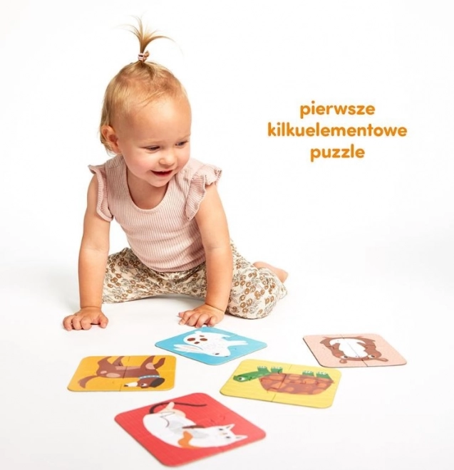 Puzzle Štyri Prírodná Úroveň