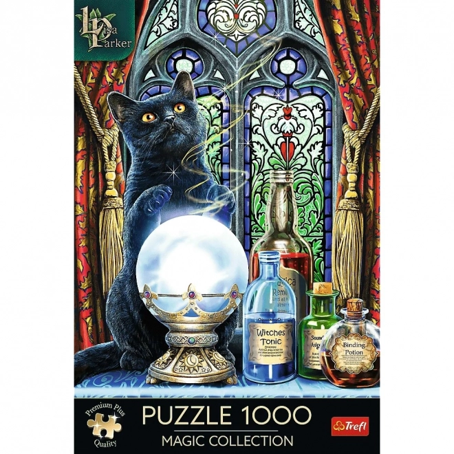 Puzzle 1000 dielikov Učeň čarodejnice Lisa Parker