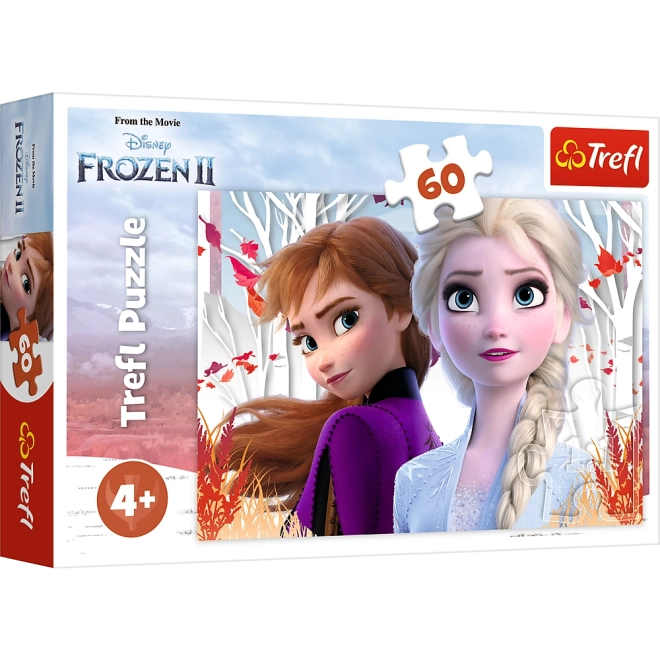 Puzzle Trefl Kraina ľadu 2 Zázračný svet Anny a Elsy