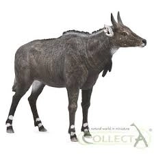 Figúrka zvieraťa Collecta Nilgai