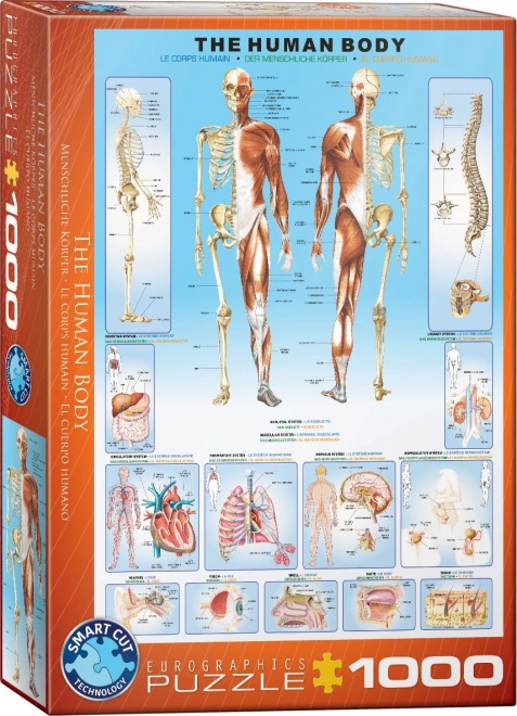 Eurographics puzzle ľudské telo 1000 dielikov