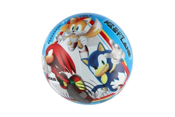 Míček Ježko Sonic 23 cm