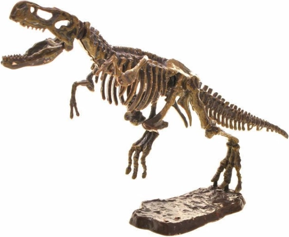 Skladateľný 3D skelet T‑Rexa