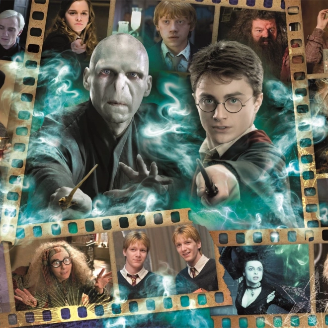 Puzzle Harry Potter: Obľúbené postavy 1000 dielikov