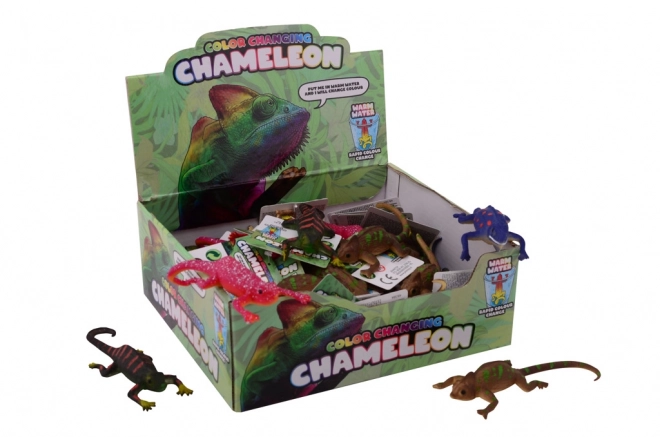 Farebný chameleón – Magický zážitok