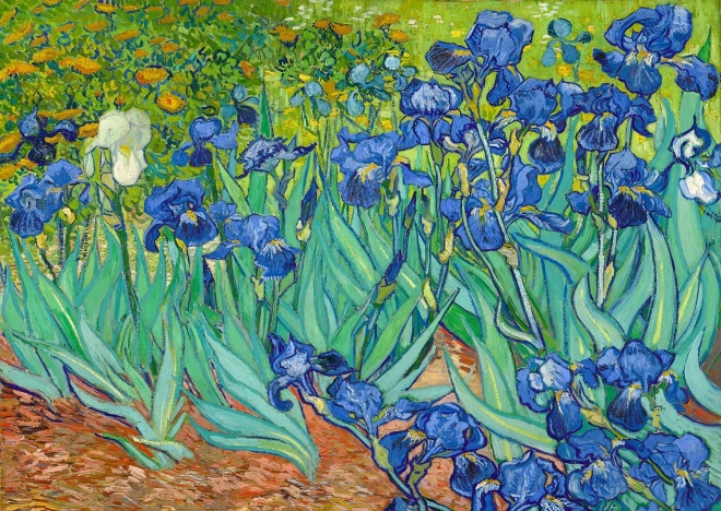 Puzzle Vincent Van Gogh: Kosatce 1000 dielikov