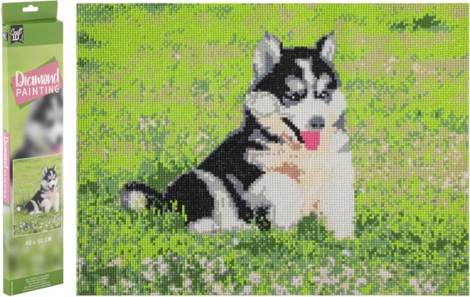 Grafix Diamantové maľovanie Husky 40x50cm