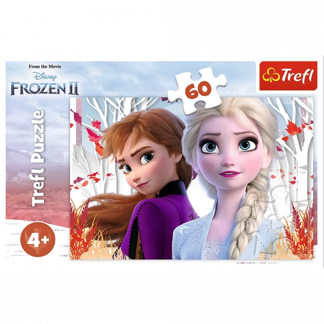 Puzzle Trefl Kraina ľadu 2 Zázračný svet Anny a Elsy