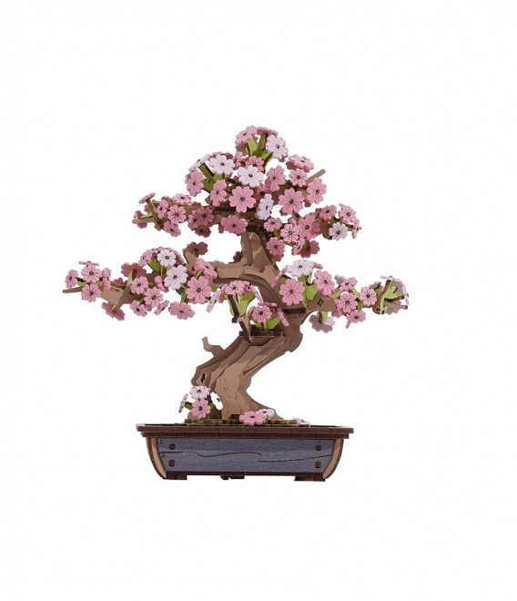 Robotime drevená 3D skladačka bonsaj sakura