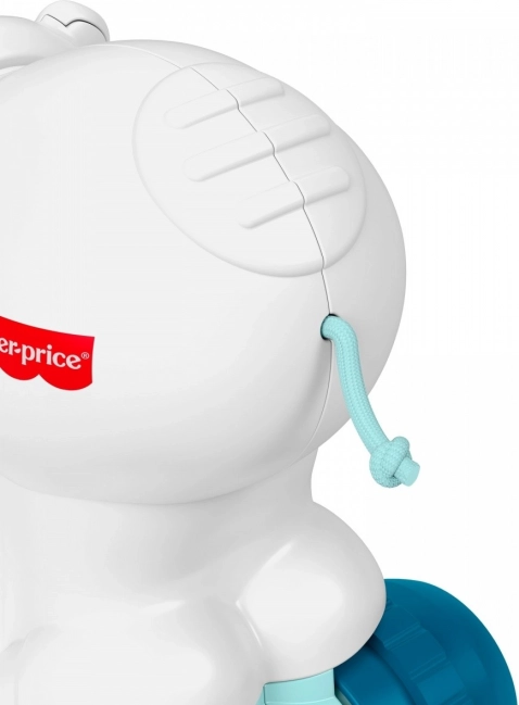 Interaktívny medvedík pre lezenie Fisher-Price