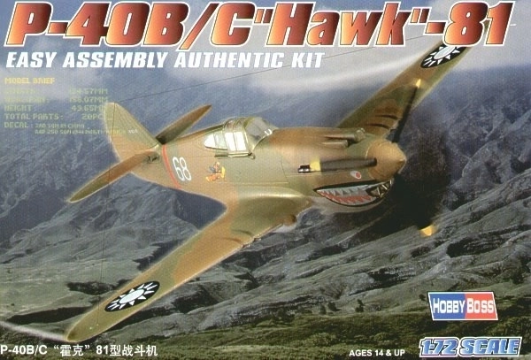 Model P-40 Hawk