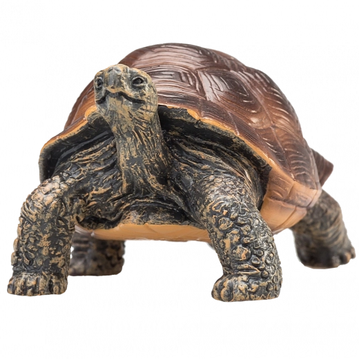 Verné detaily a prirodzené sfarbenie