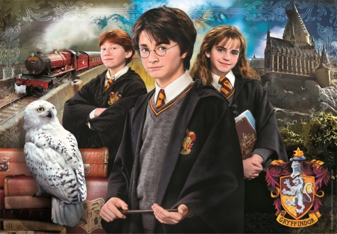 Puzzle Harry Potter 1000 kúskov