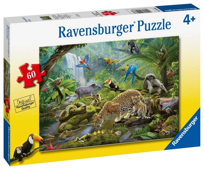 Ravensburger puzzle Zvieratá v dažďovom pralese 60 dielikov