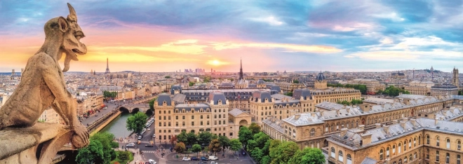 Panoramatické puzzle Výhľad z katedrály Notre-Dame 1000 dielikov