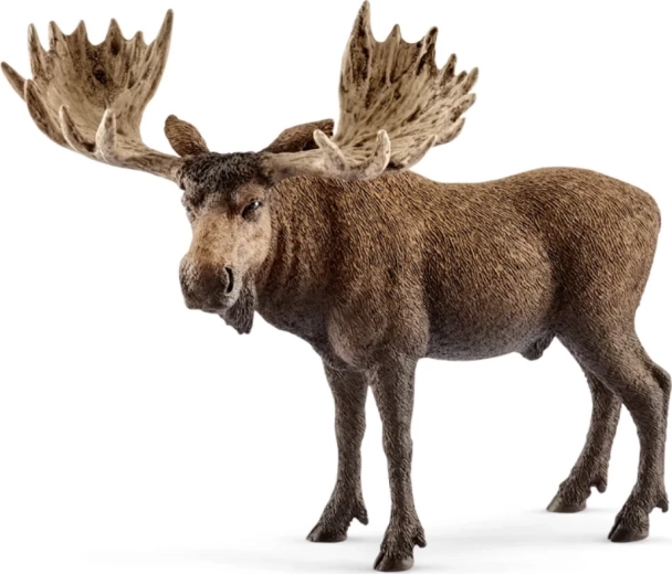 Schleich Wild Life los