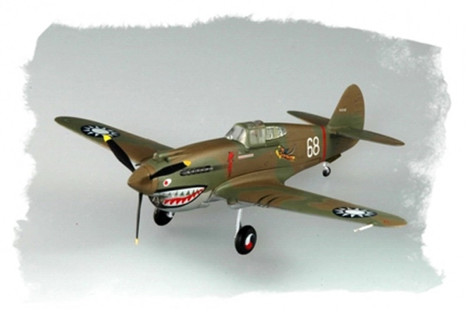 Model P-40 Hawk