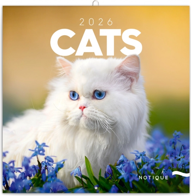 Poznámkový kalendár Mačky 2026