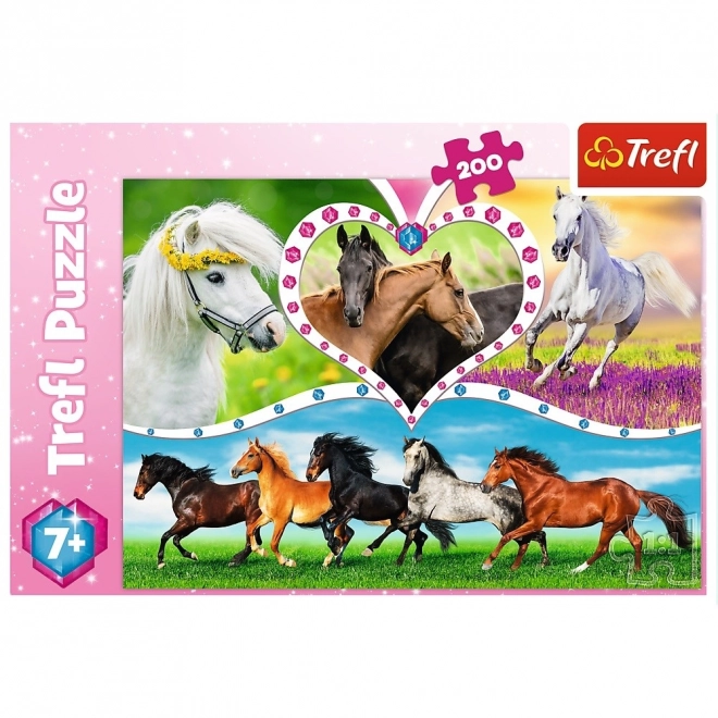 Puzzle Krásni kone 200 dielikov