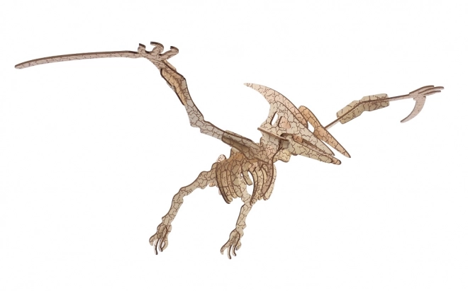 Drevené 3D puzzle pterosaur