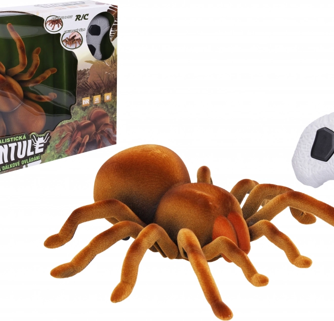 Tarantula na diaľkové ovládanie 24 cm