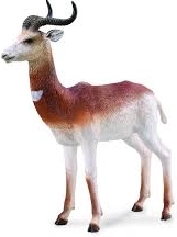 Collecta albatros sťahovavý – realistická figúrka