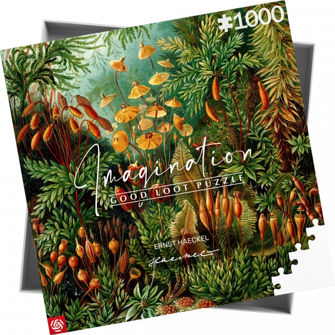 Good Loot puzzle Imagination: Ernst Haeckel - Muscinae 1000 dielikov