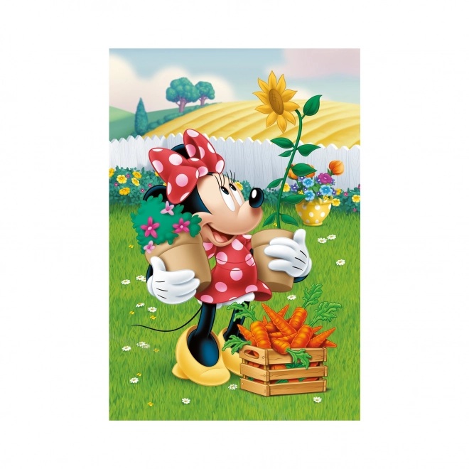 Puzzle Disney Rozprávky: Locika 54 Dielikov