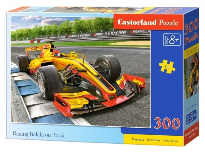 Formulové puzzle na dráhe