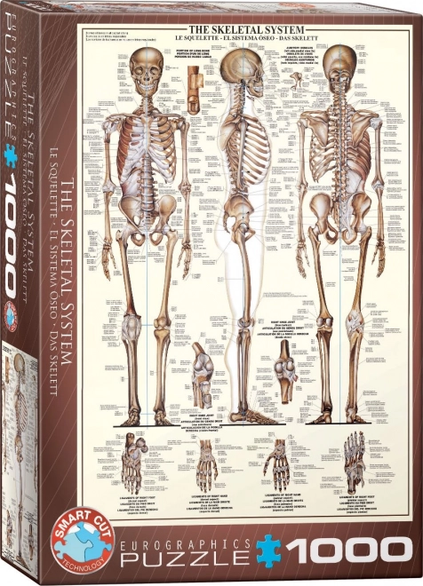 Puzzle Kostrová Sústava 1000 Dielikov