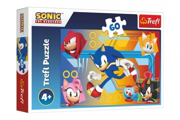 Puzzle 60 dielikov Sonic v akcii