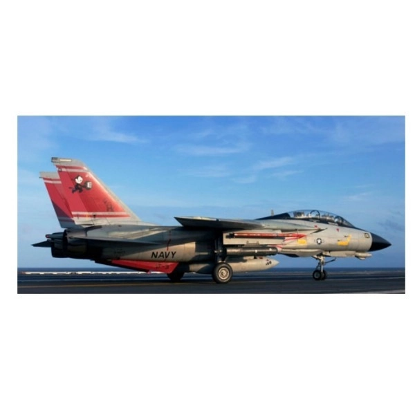 Model plastového F-14D Super Tomcat