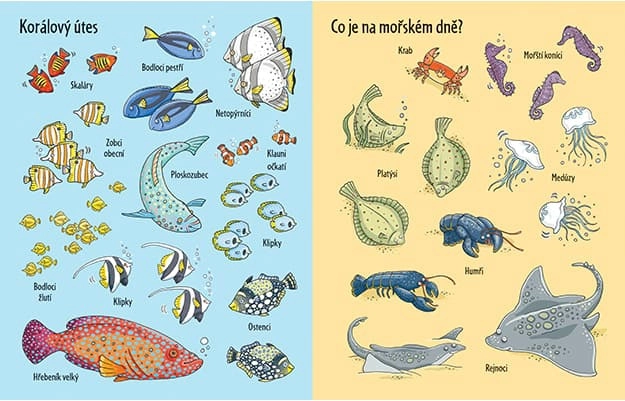 Samolepková knižka Pod hladinou