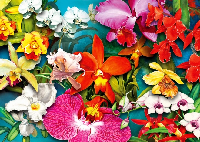 Užite si puzzle Džungľa orchideí 1000 dielikov