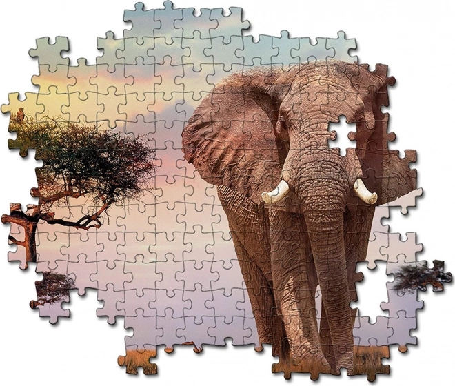 Clementoni puzzle Africký západ slnka 500 dielikov