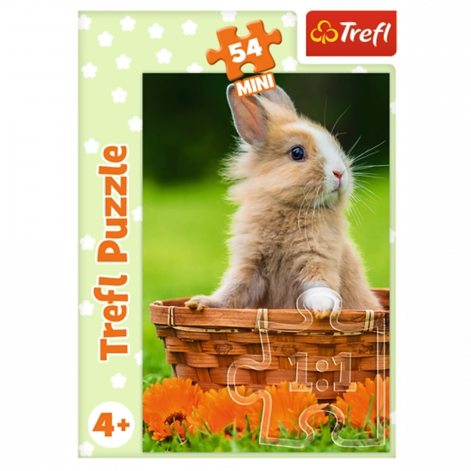 Minipuzzle Zvieratká - mláďatá