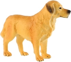 Kompaktná veľkosť 10 cm