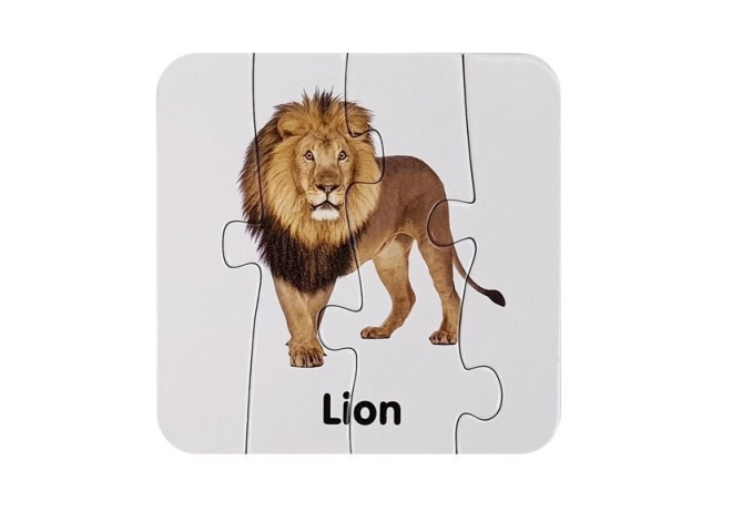 Realistické ilustrácie divokých zvierat