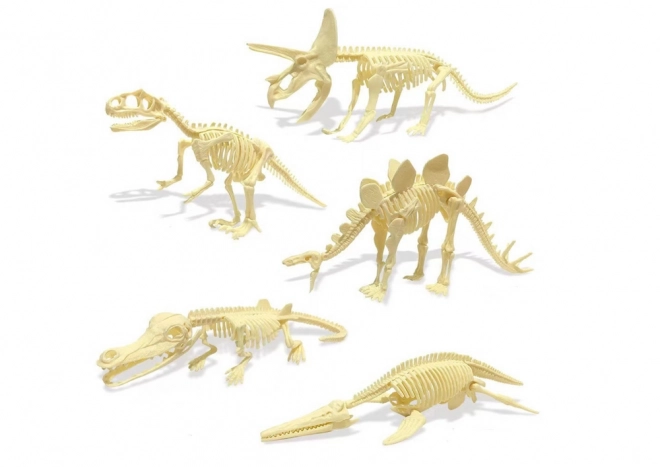 Archeologický set dinosaurus vajcia skameneliny