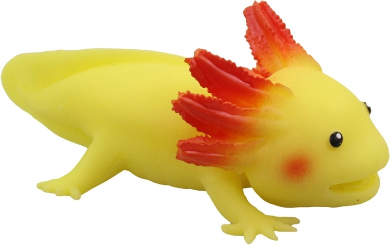 Detailné spracovanie axolotla