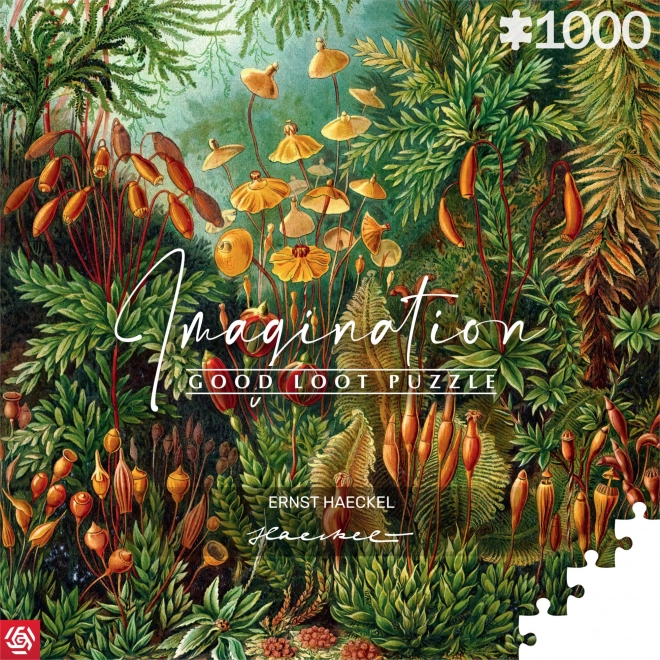 Good Loot puzzle Imagination: Ernst Haeckel - Muscinae 1000 dielikov